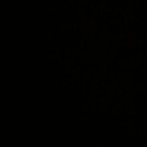 Meet your Posher, Cari